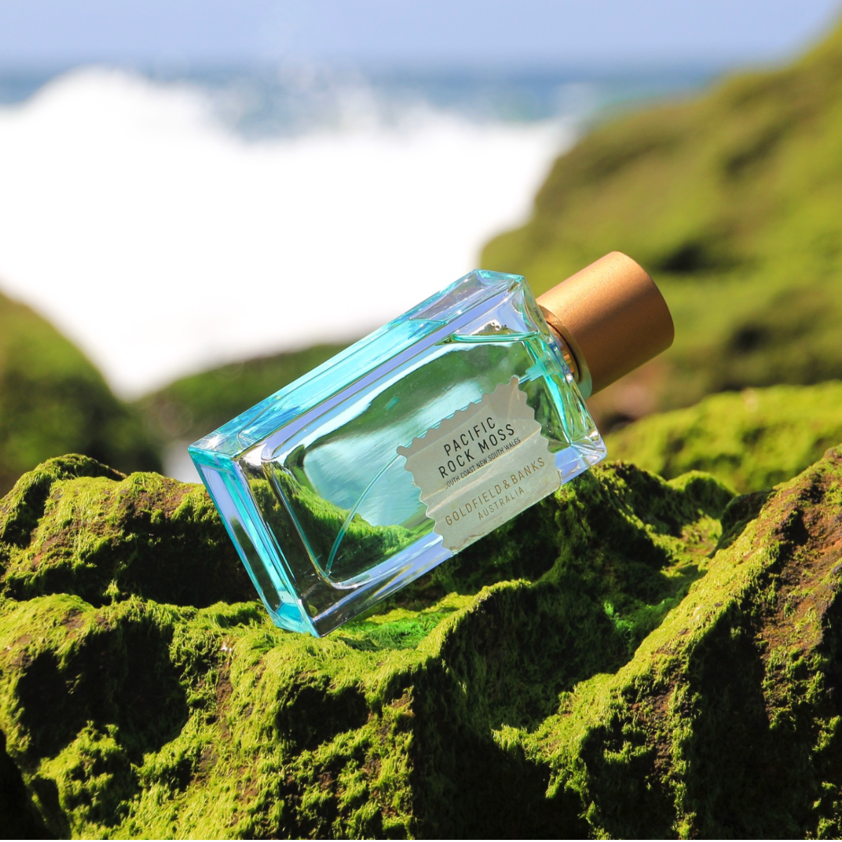 Pacific Rock Moss – Offscent