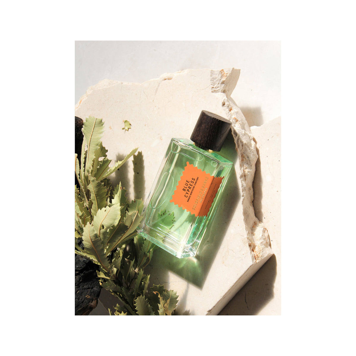 Blue Cypress – Offscent