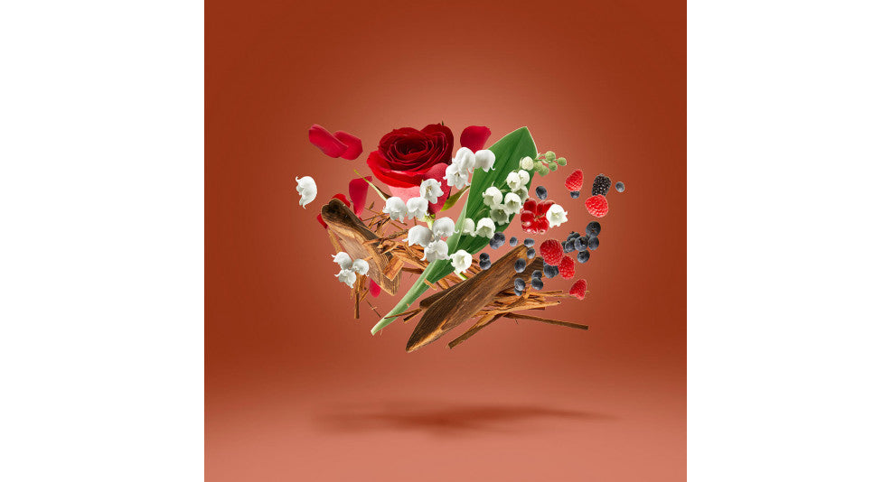 Damarose – Offscent